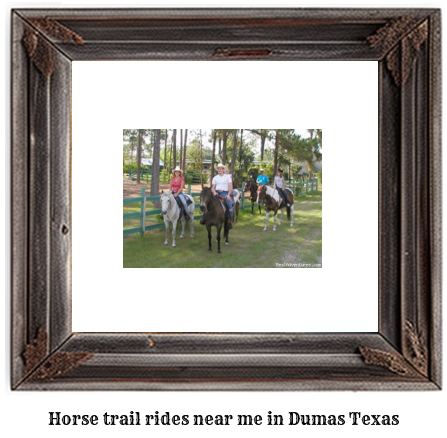 horse trail rides near me in Dumas, Texas